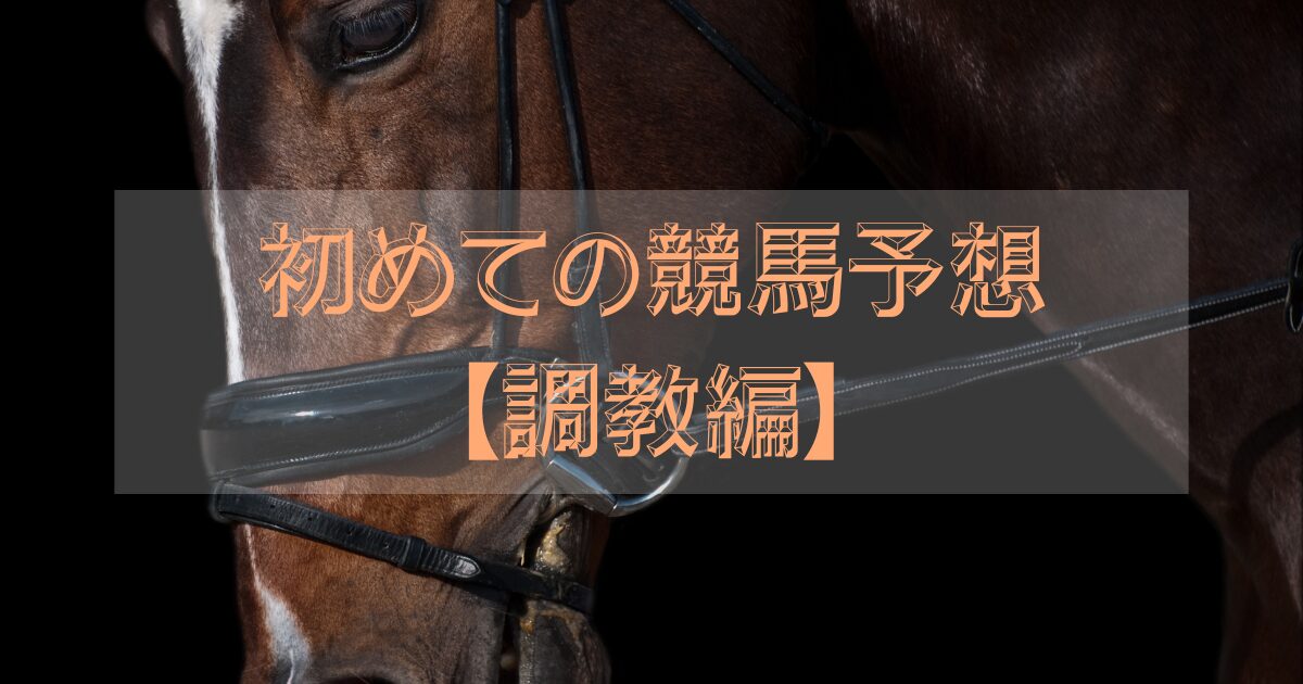 競走馬